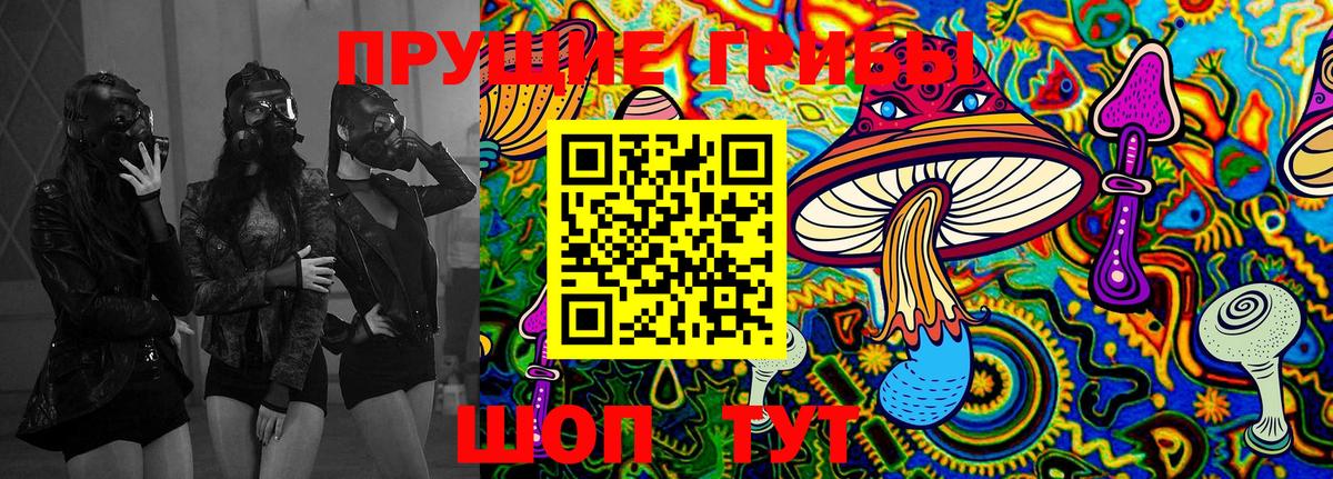 Галлюциногенные грибы Magic Shrooms  Вход с VPN  Кашира 
